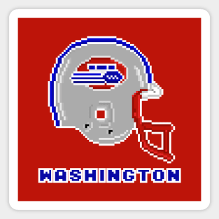 Washington Sentinels Magnet